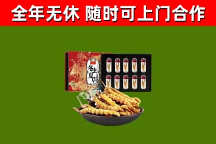 衡阳县回收冬虫夏草价格