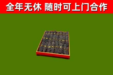 衡阳县回收海参